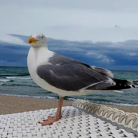 Апартаменты Residenz Am 1-21